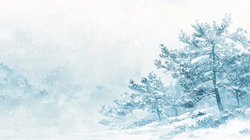 冰雪覆盖的松树林