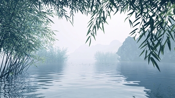 雾气弥漫的河边竹林