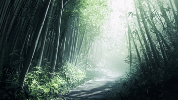 竹林小径