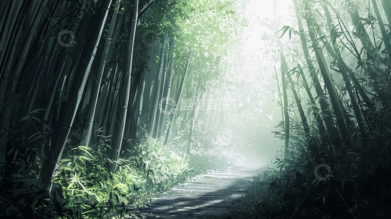高清大图下载【趣麦麦图】竹林小径