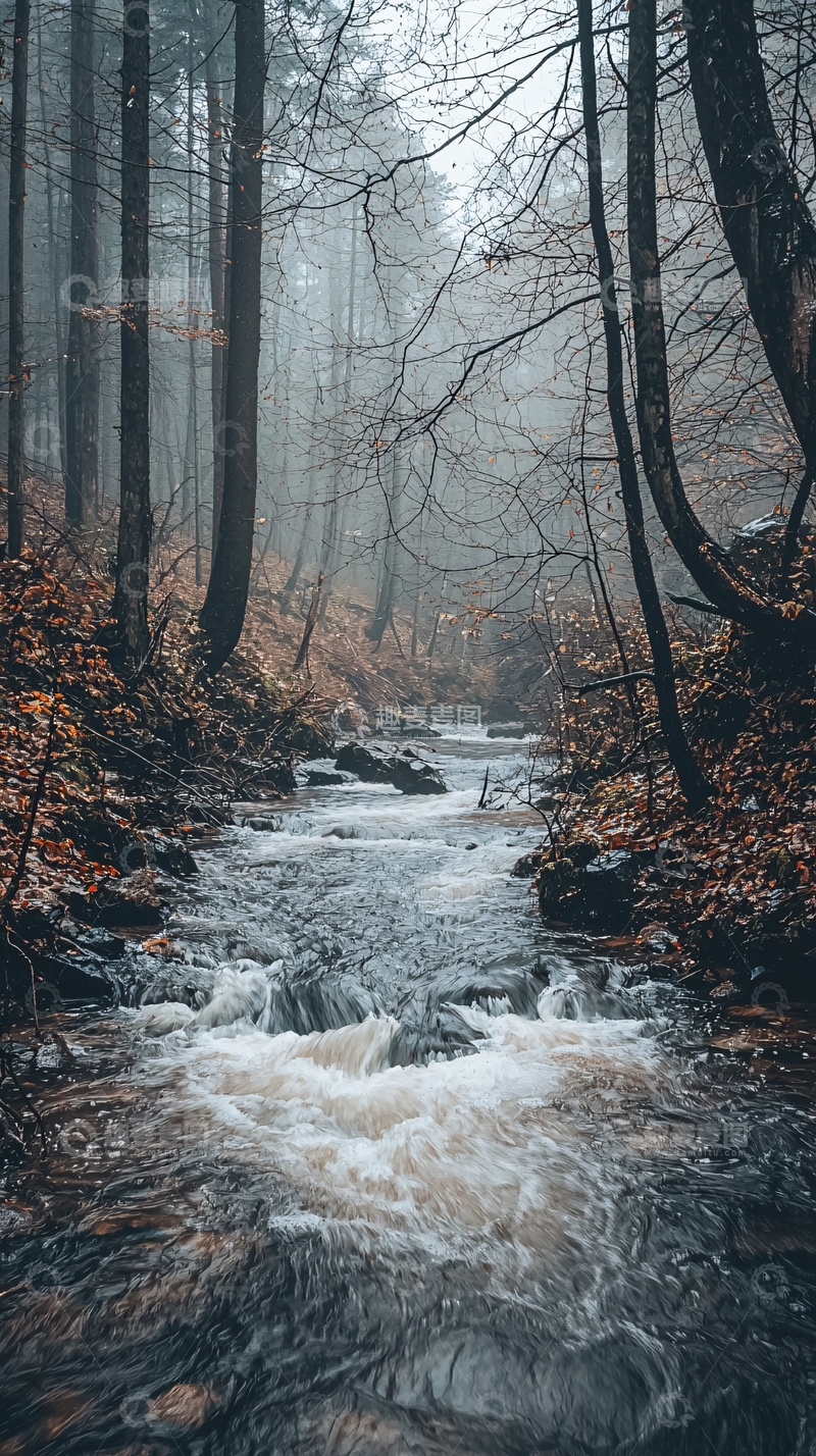 高清大图下载【趣麦麦图】雾气森林溪流