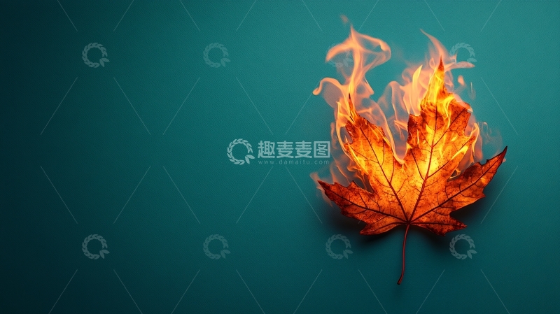 高清大图下载【趣麦麦图】燃烧的枫叶