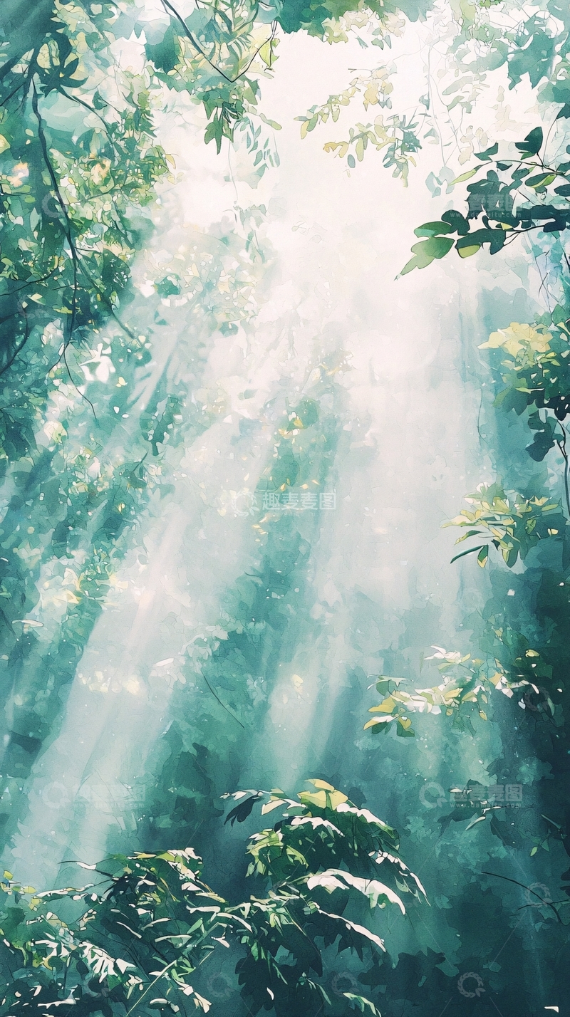 高清大图下载【趣麦麦图】阳光透过树林