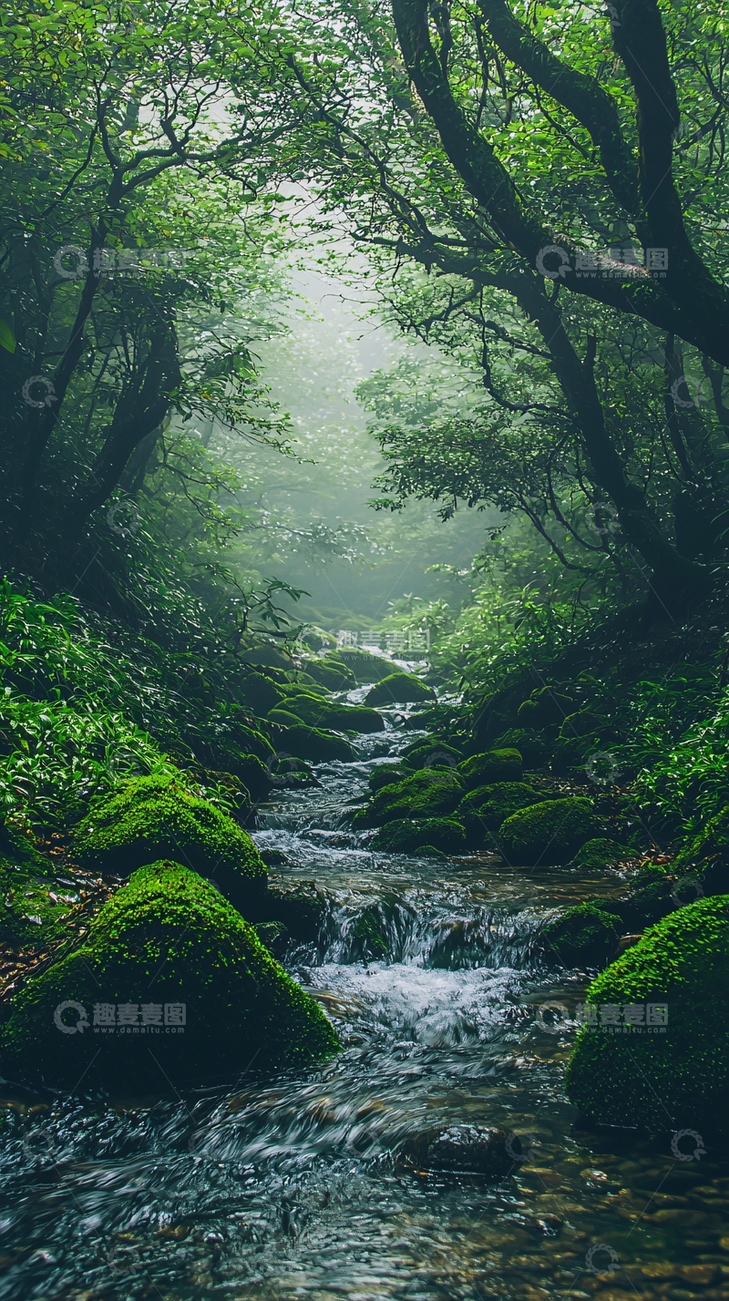 高清大图下载【趣麦麦图】雾气森林溪流
