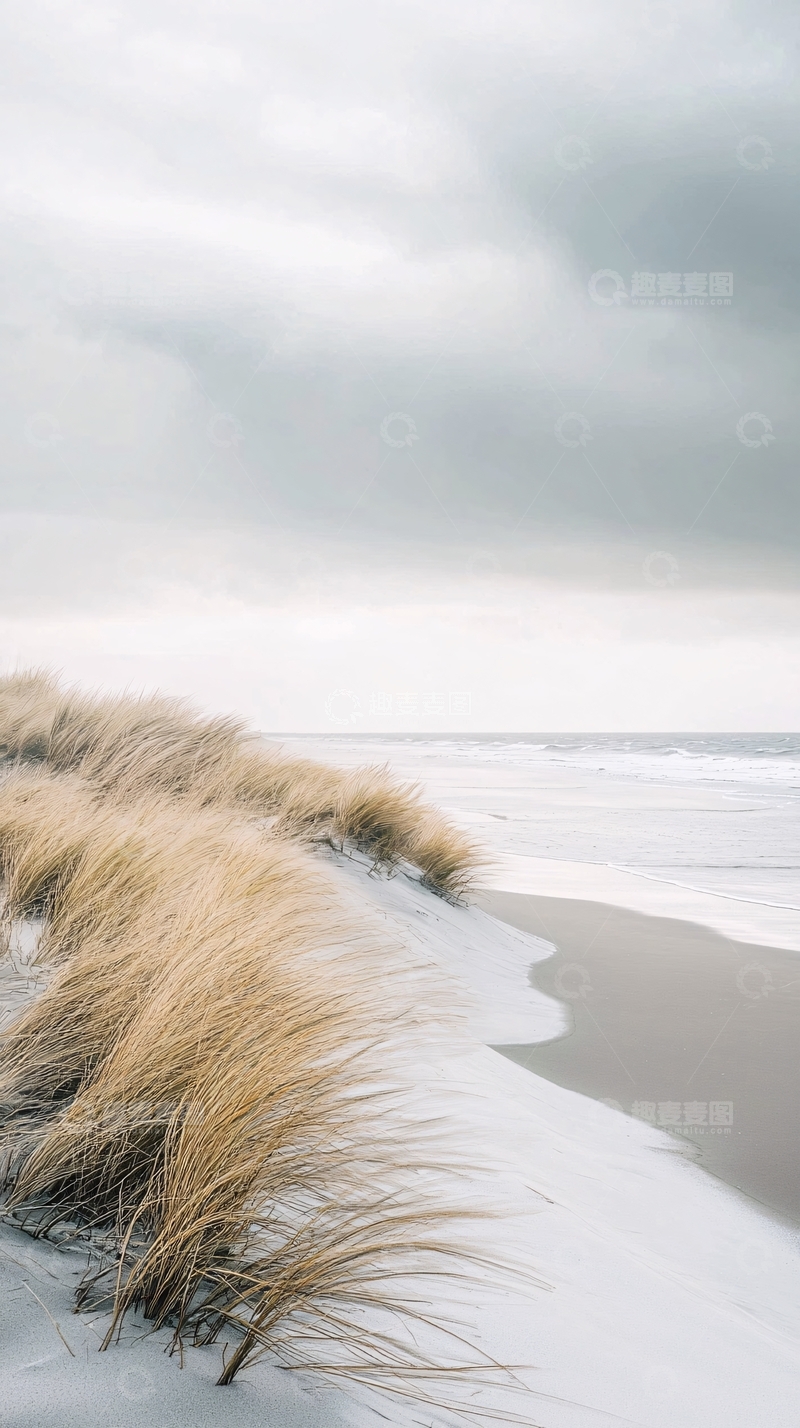 高清大图下载【趣麦麦图】海滩边金黄的沙丘草