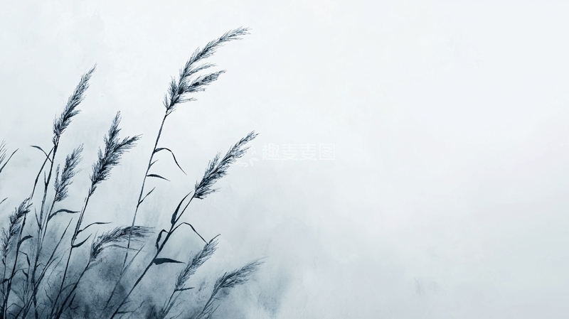 高清大图下载【趣麦麦图】雾中芦苇