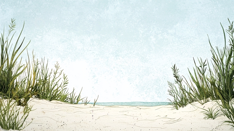 高清大图下载【趣麦麦图】沙滩