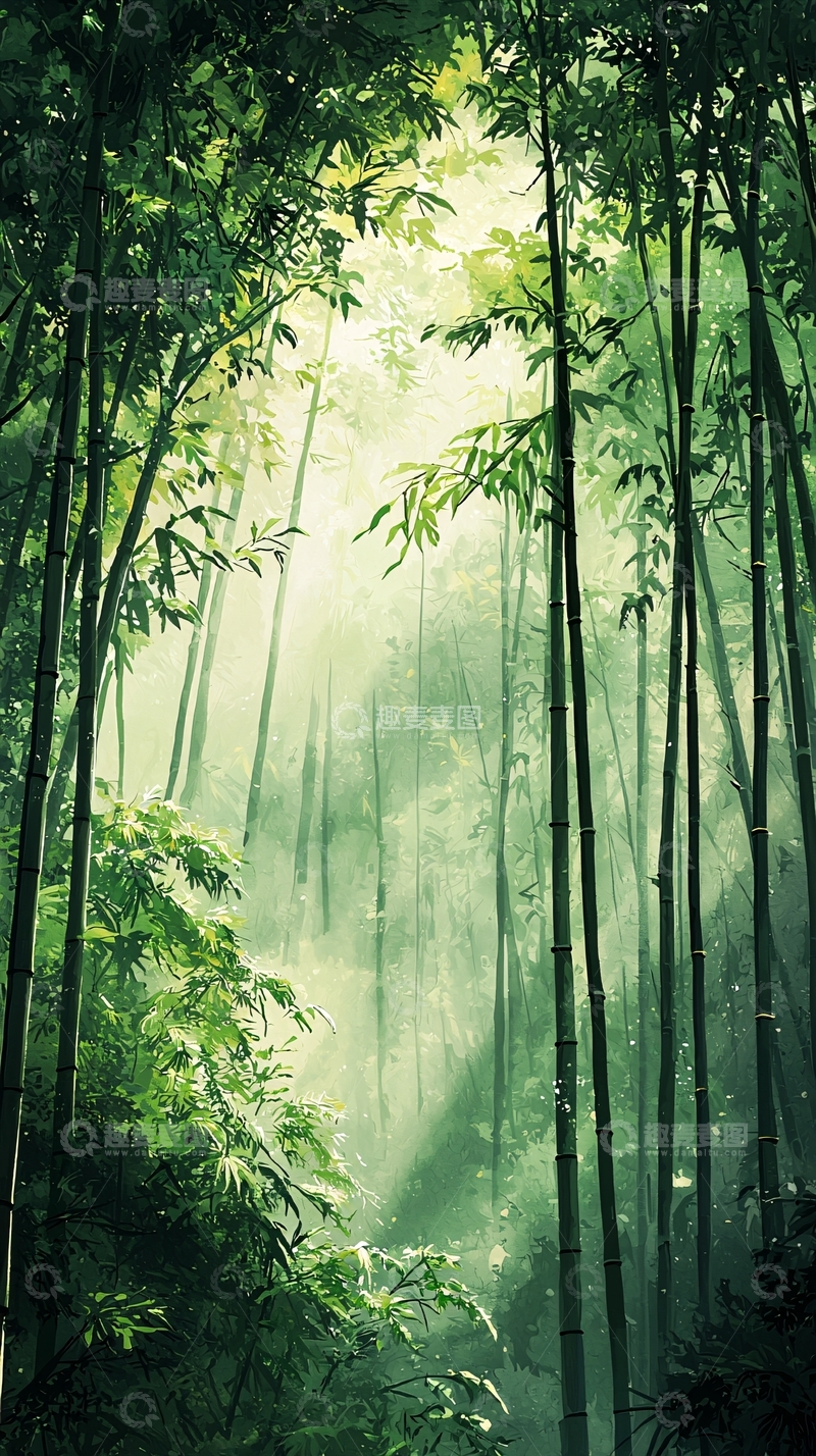 高清大图下载【趣麦麦图】阳光穿透竹林