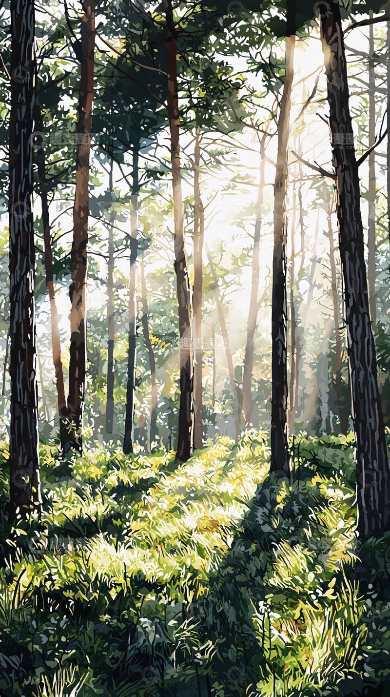 高清大图下载【趣麦麦图】阳光透过树林