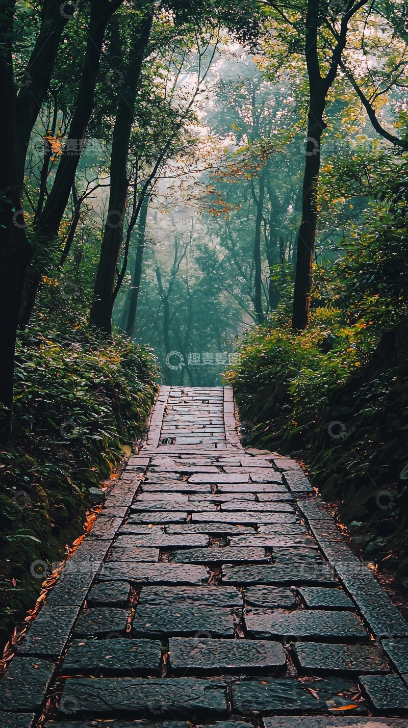 高清大图下载【趣麦麦图】幽静森林石板路