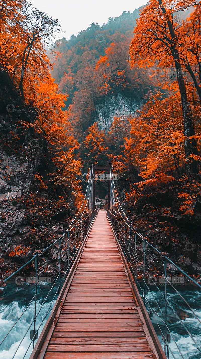 高清大图下载【趣麦麦图】秋日峡谷吊桥