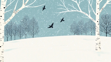 冬日白桦树林雪景