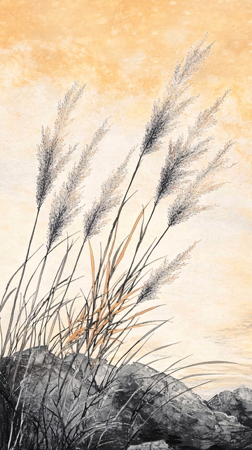 秋日暖阳下的芦苇