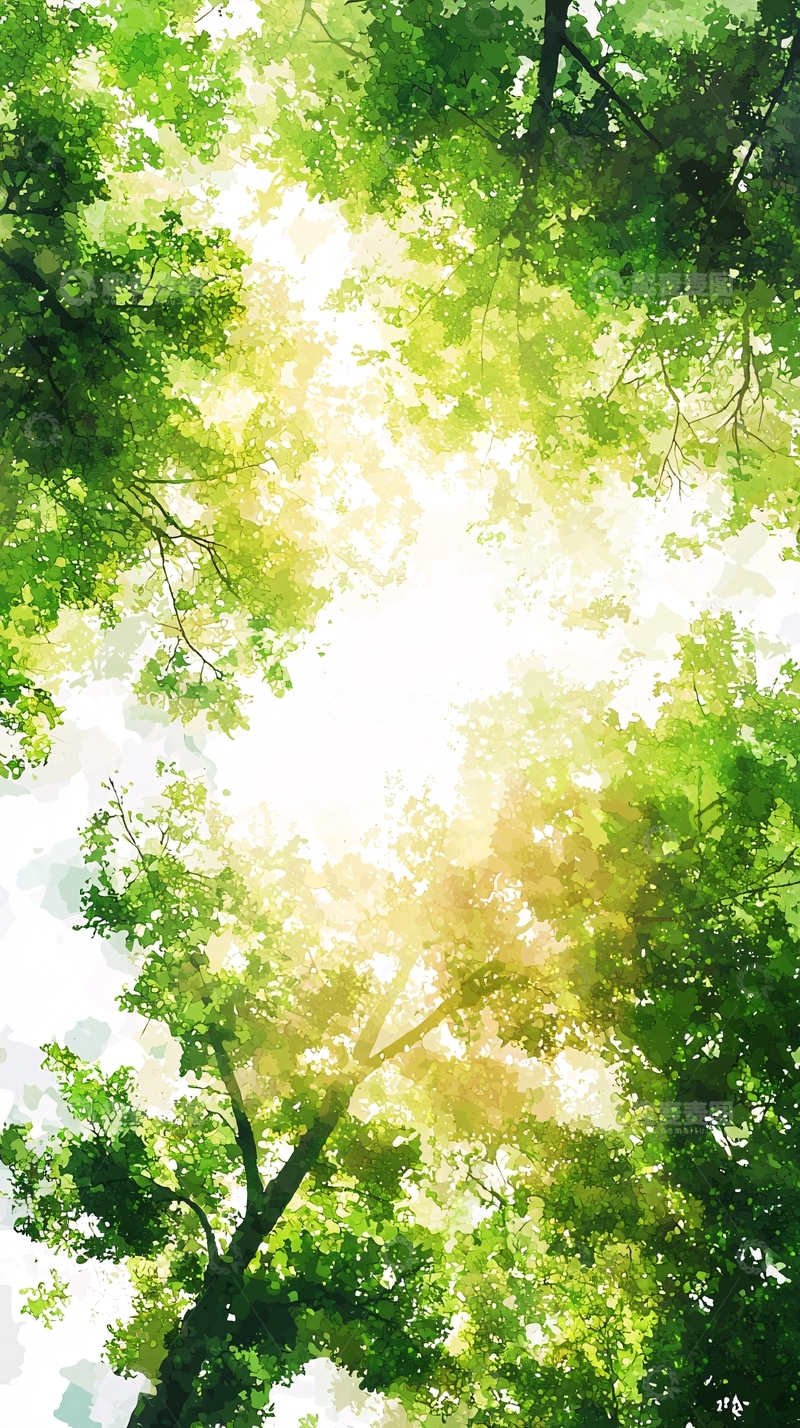 高清大图下载【趣麦麦图】阳光透过树叶