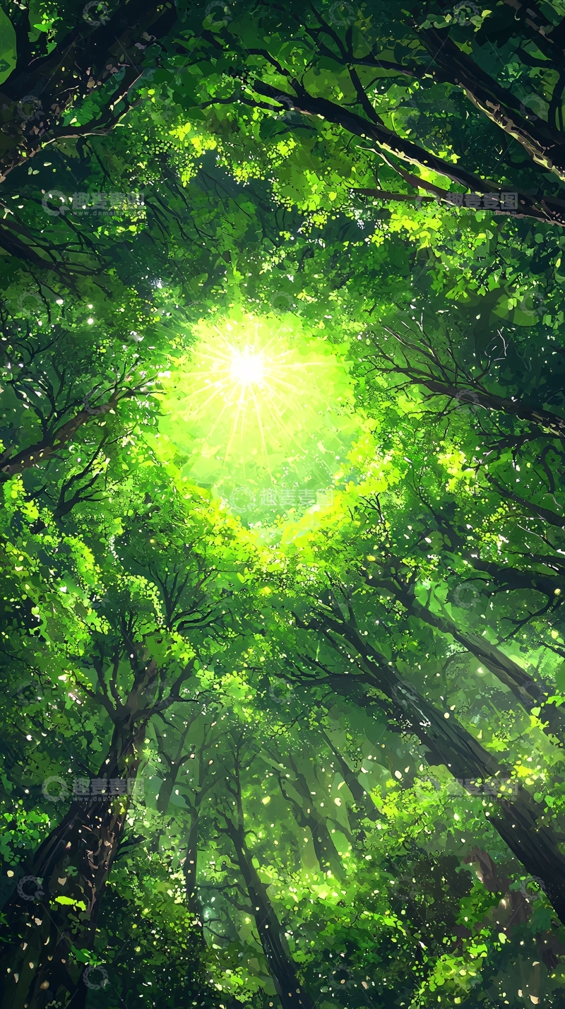 高清大图下载【趣麦麦图】阳光透过树林
