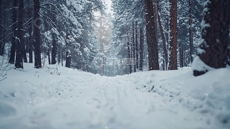 高清大图下载【趣麦麦图】雪地森林小路