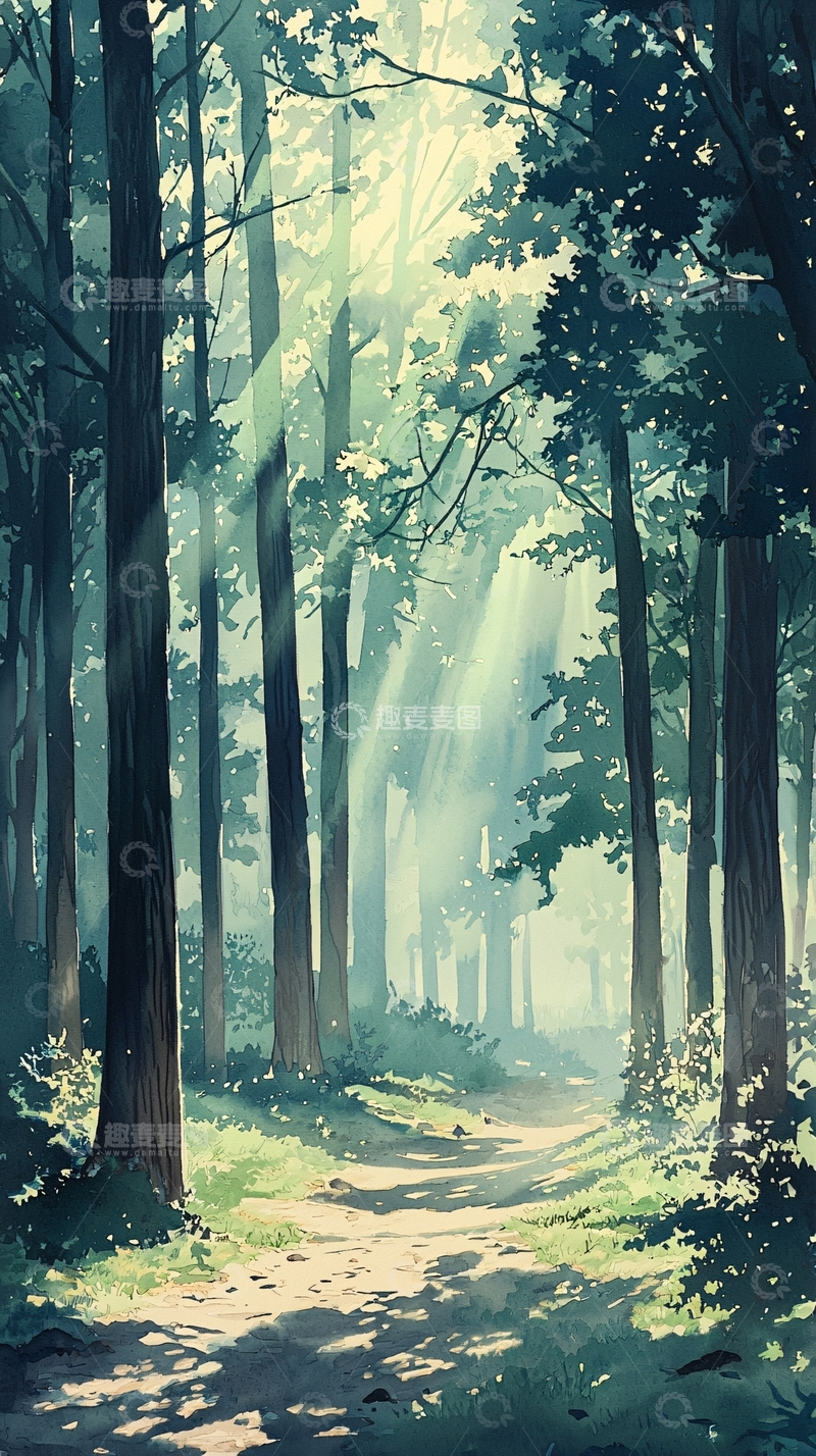 高清大图下载【趣麦麦图】森林小路阳光