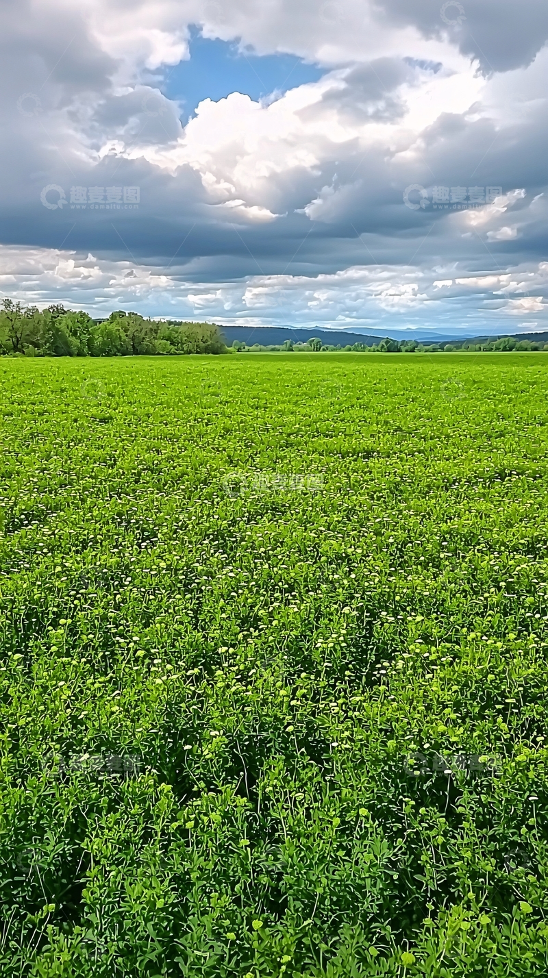 高清大图下载【趣麦麦图】绿油油的广阔田野