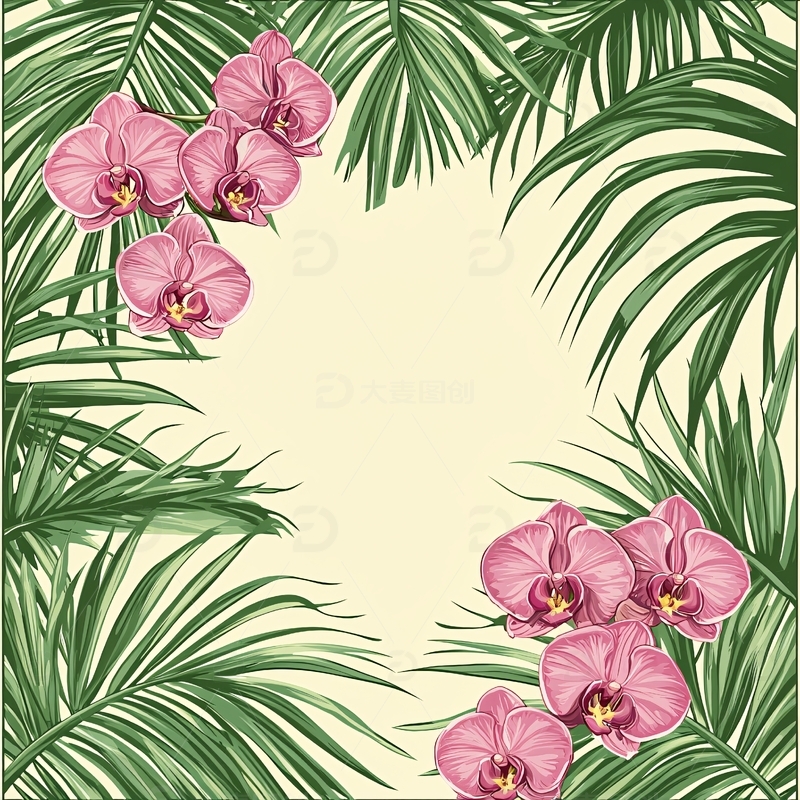 高清大图下载【趣麦麦图】粉色兰花和绿棕榈叶