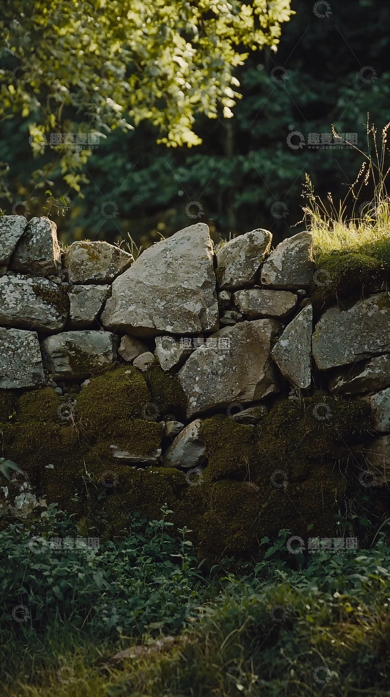 高清大图下载【趣麦麦图】苔藓覆盖的古老石墙