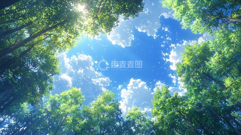 高清大图下载【趣麦麦图】树林向上看