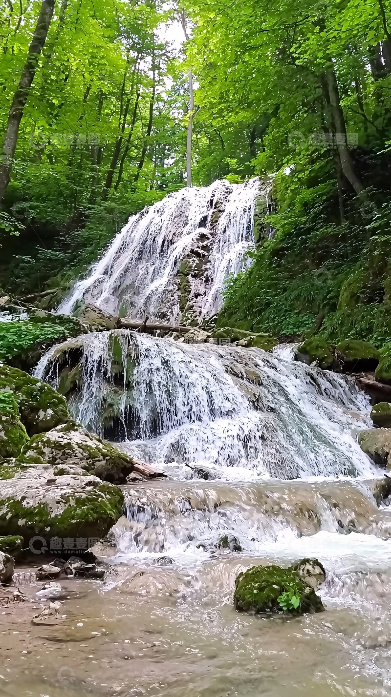 高清大图下载【趣麦麦图】茂密森林中的瀑布