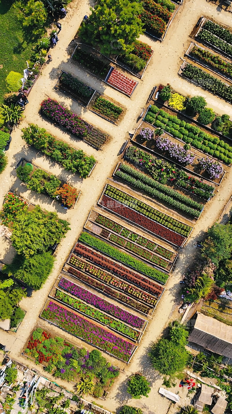 高清大图下载【趣麦麦图】空中俯瞰植物园
