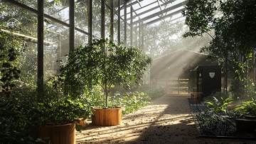 阳光洒进玻璃温室