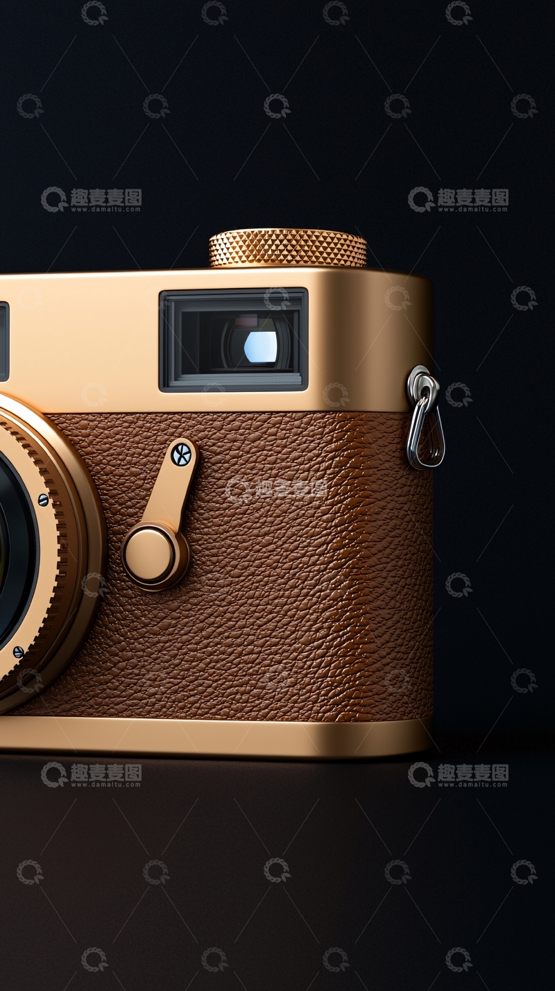 高清大图下载【趣麦麦图】复古相机