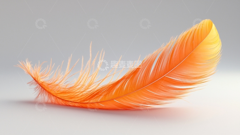 高清大图下载【趣麦麦图】橙色羽毛
