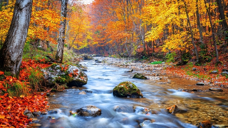 高清大图下载【趣麦麦图】秋日森林溪流11