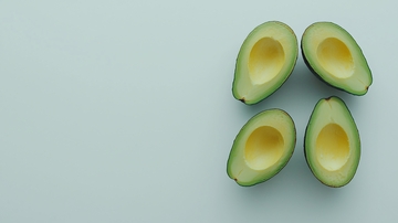 四个牛油果剖面图