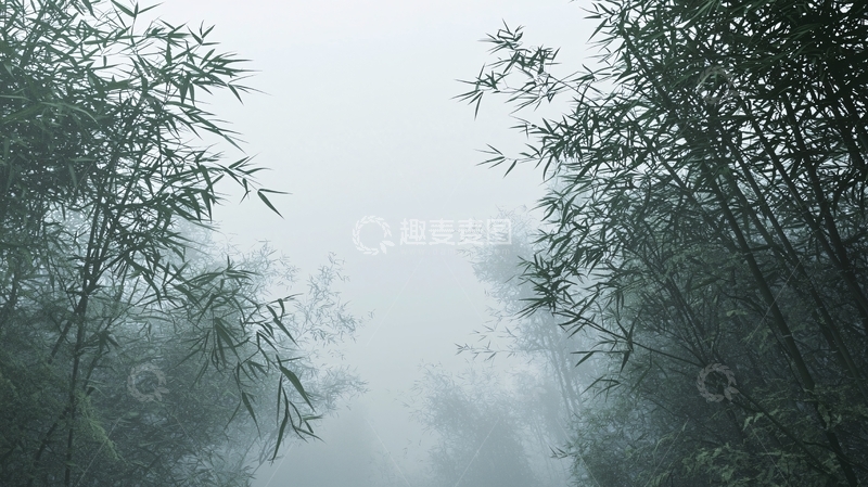 高清大图下载【趣麦麦图】雾气弥漫的竹林小路