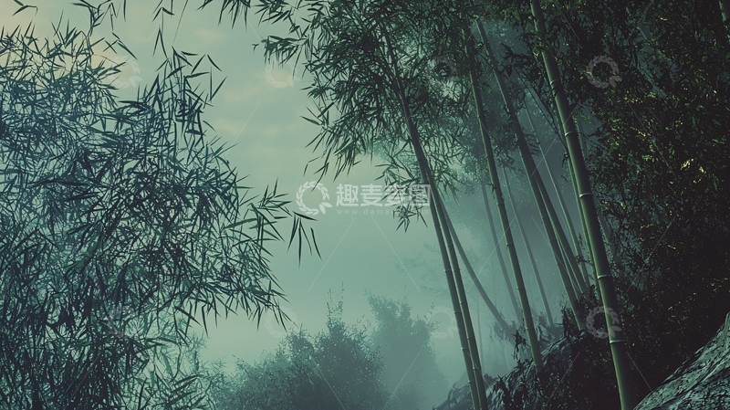 高清大图下载【趣麦麦图】雾气朦胧竹林