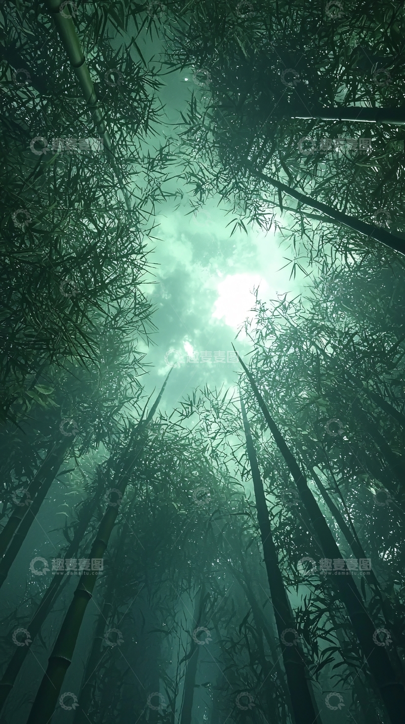 高清大图下载【趣麦麦图】竹林仰视