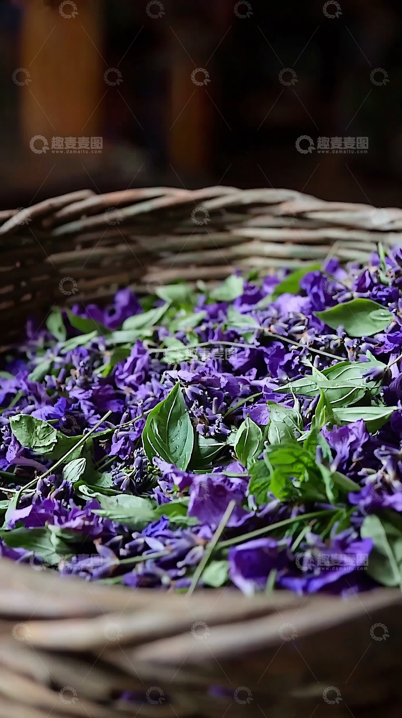 高清大图下载【趣麦麦图】篮子里的紫色花瓣和绿叶
