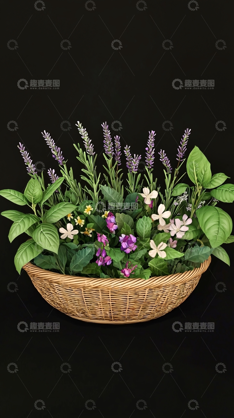 高清大图下载【趣麦麦图】香草植物编织篮