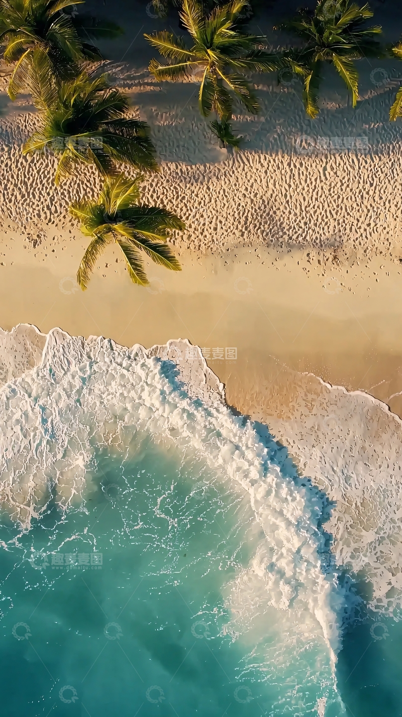 高清大图下载【趣麦麦图】俯瞰椰林海滩
