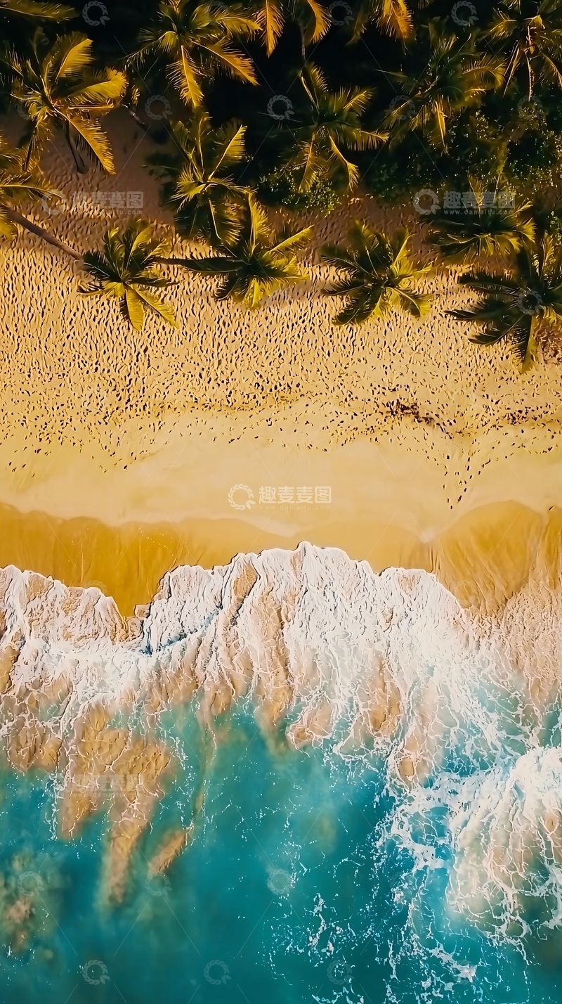 高清大图下载【趣麦麦图】俯瞰椰林沙滩海浪