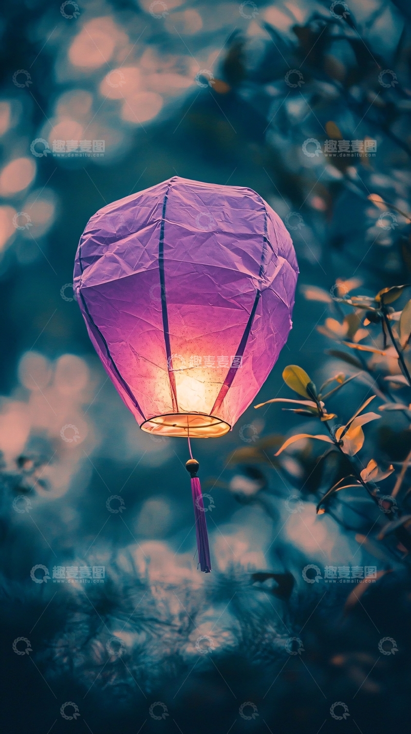 高清大图下载【趣麦麦图】紫色纸灯笼