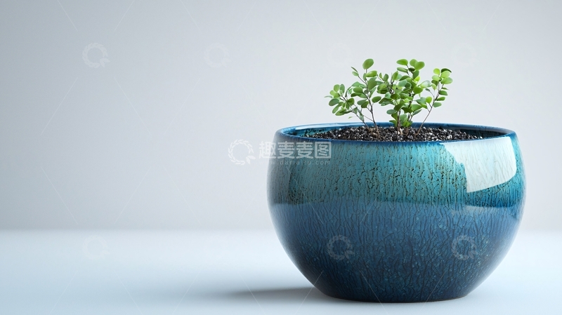 高清大图下载【趣麦麦图】绿植盆栽