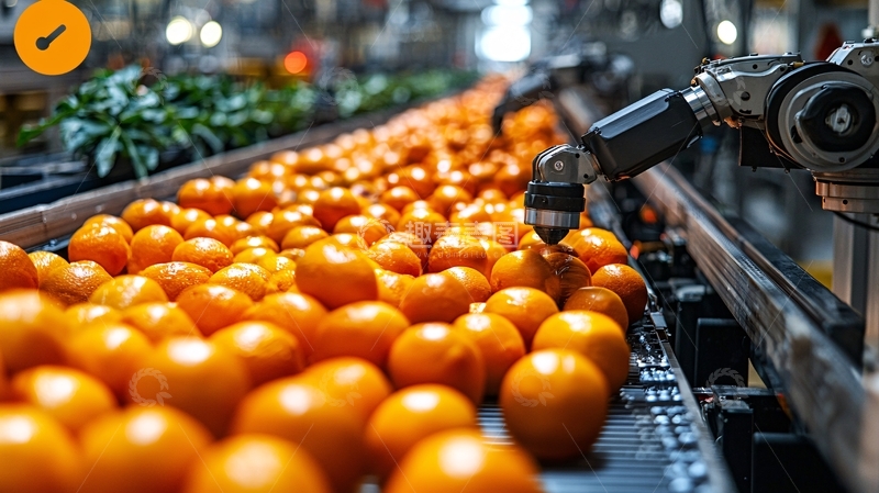 高清大图下载【趣麦麦图】传送带上的橙子和机器人手臂