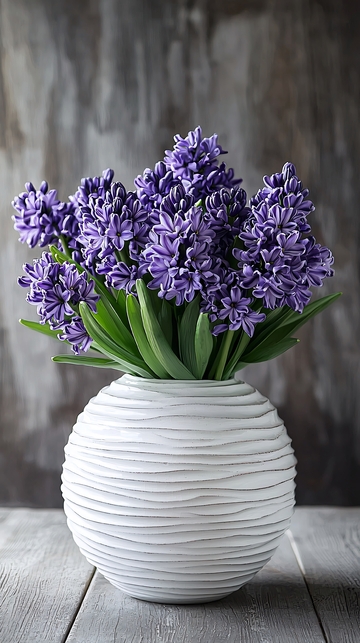 紫色风信子花束