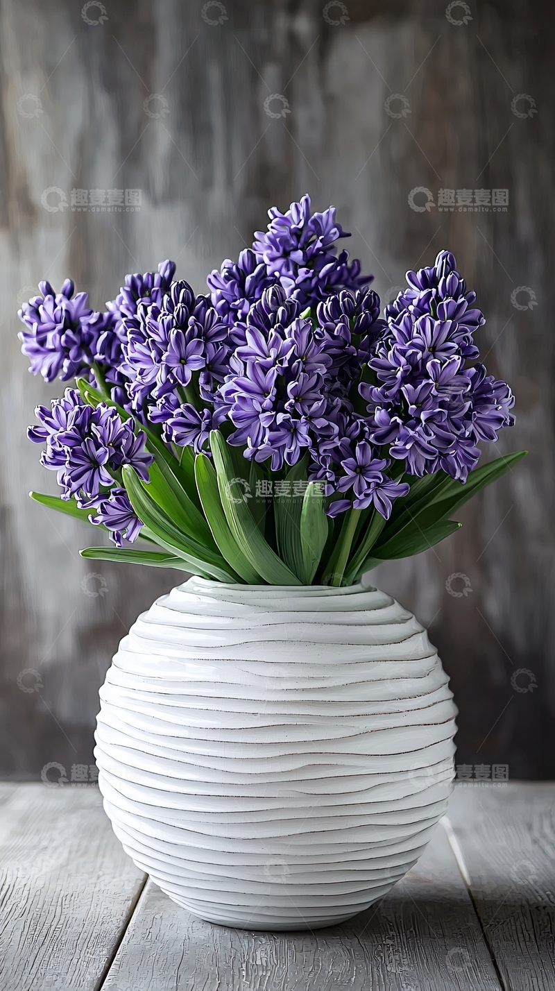 高清大图下载【趣麦麦图】紫色风信子花束