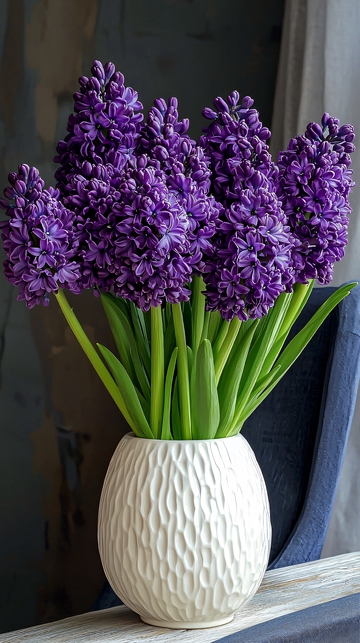 紫色风信子花束