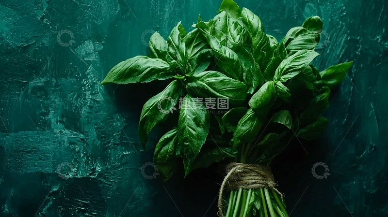 高清大图下载【趣麦麦图】-绿意盎然的罗勒叶