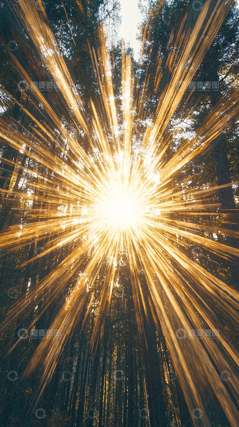 高清大图下载【趣麦麦图】森林阳光