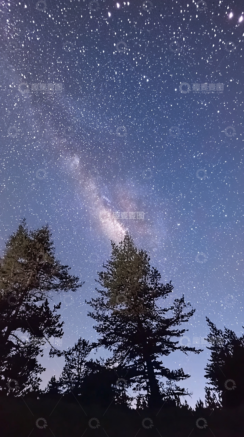 高清大图下载【趣麦麦图】星空树影