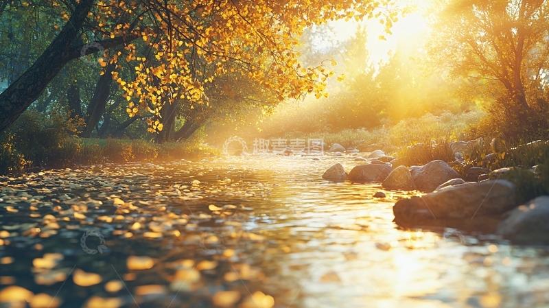 高清大图下载【趣麦麦图】秋日清晨小溪阳光