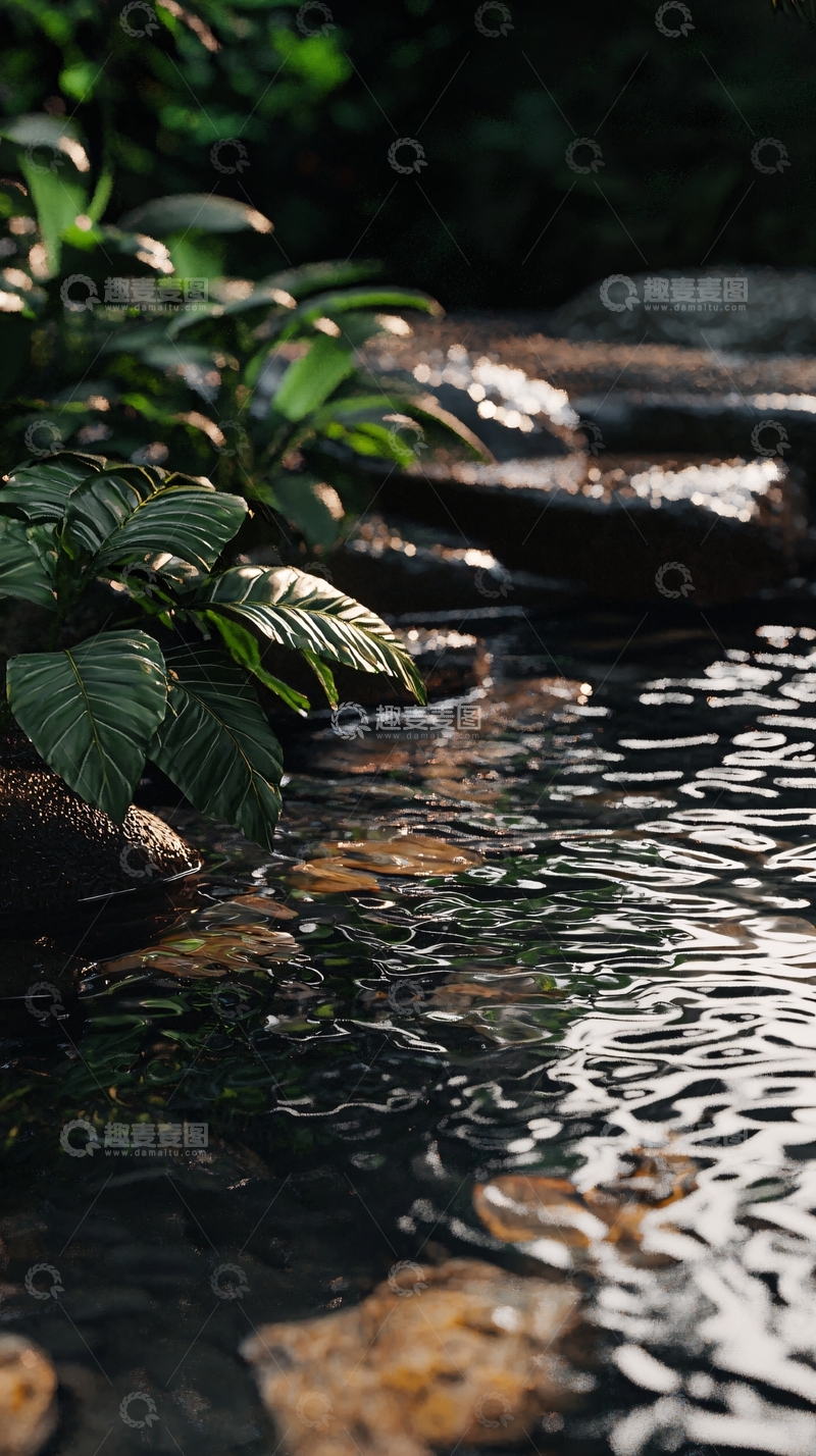 高清大图下载【趣麦麦图】溪流边绿叶